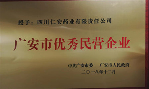 2018.12 广安市优秀民营91国产（奖牌）