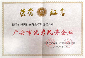 2018.12 广安市优秀民营91国产