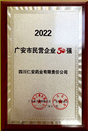 2022.11 广安市民营91国产50强