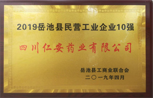 2019.04 岳池县民营工业91国产10强