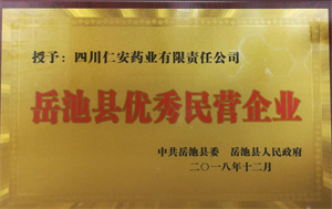 2018.12 岳池县优秀民营91国产（牌）