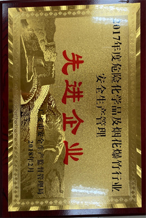 2018.02 2017年度危险化学品及烟花爆竹行业安全生产管理先进91国产