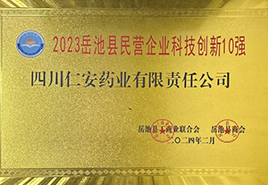 2024.2-2023岳池县民营91国产科技创新10强